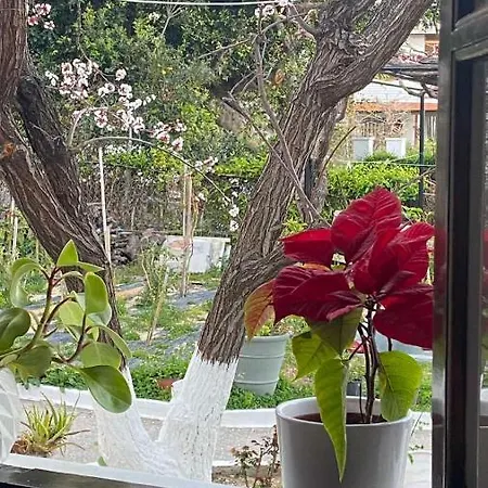 Village דירה
